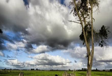 拜仁慕尼黑迎接新挑战，实力尽显