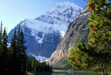 AC米兰期待在欧冠比赛中获胜