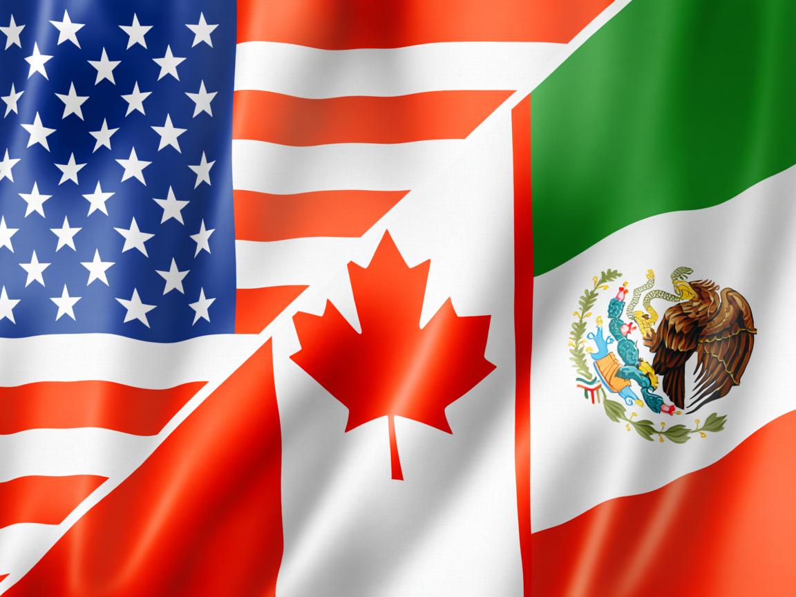 开云体育网址-冰岛队勇往直前，欧预赛夺冠在望