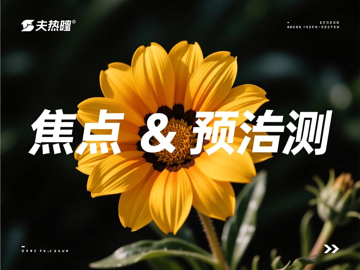 开云体育在线下载-威尔士队破釜沉舟，欧洲锦标赛决胜一搏