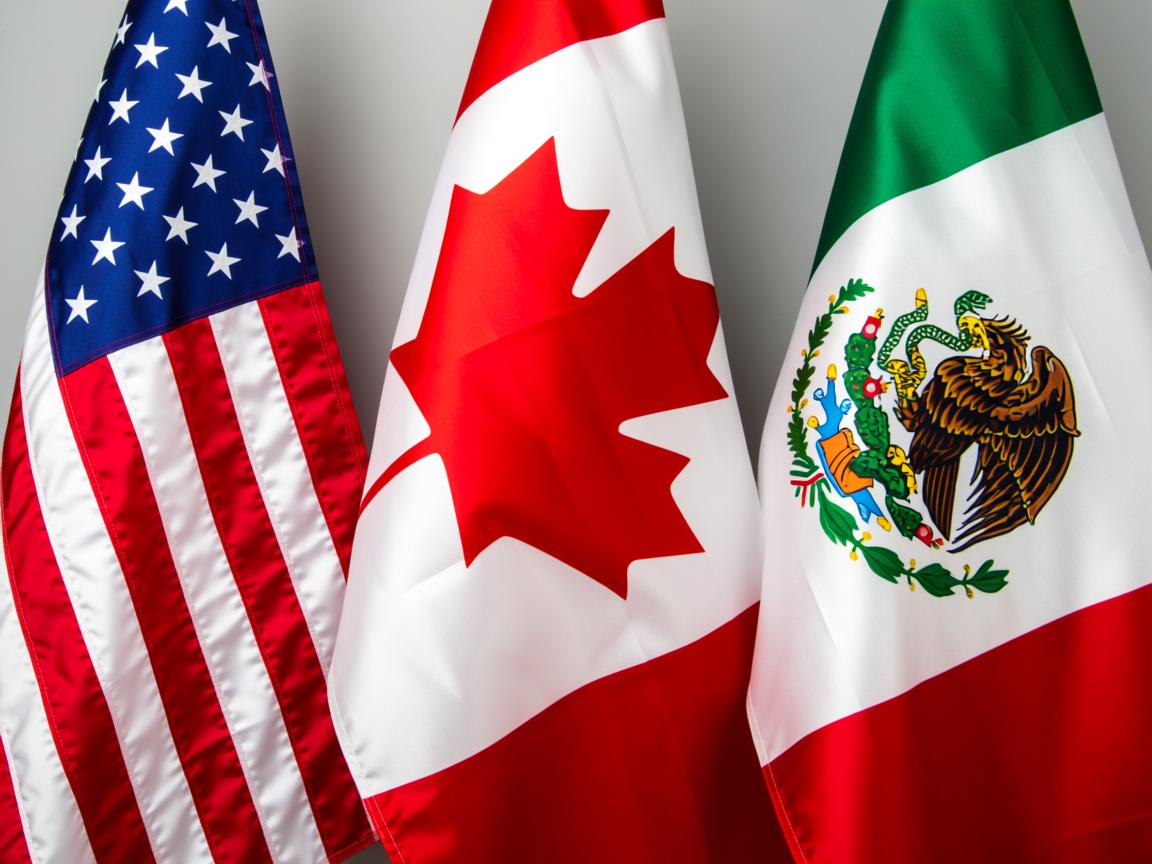 开云体育网址-冰岛队勇往直前，欧预赛夺冠在望  第3张