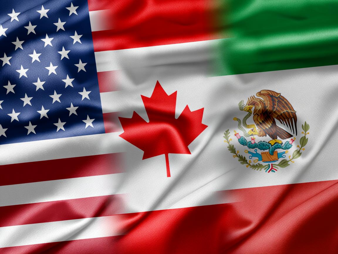 开云体育网址-冰岛队勇往直前，欧预赛夺冠在望  第2张