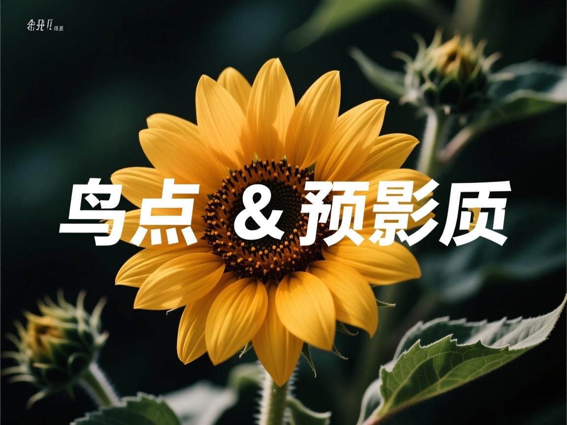 开云体育在线下载-威尔士队破釜沉舟，欧洲锦标赛决胜一搏  第3张