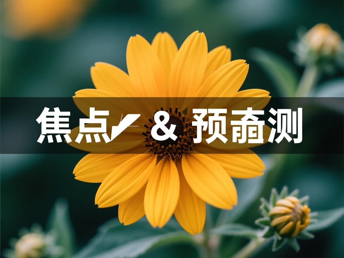 开云体育在线下载-世界杯2026规则变化你需要了解的关键信息  第3张